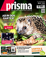 Prisma