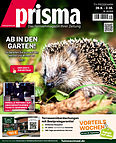 Prisma
